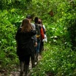 Earthwatch Expeditions: Tracking Wildlife in the Amazon for Science