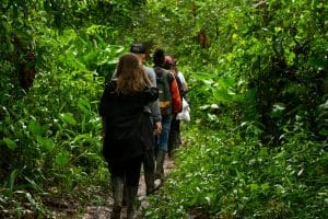 Earthwatch Expeditions: Tracking Wildlife in the Amazon for Science