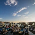 Edu-Vacation Cruises: STEM Workshops Sailing the Galápagos