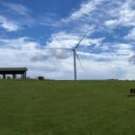 Biofuel Innovations: Sustainable Alternatives for Rural Areas