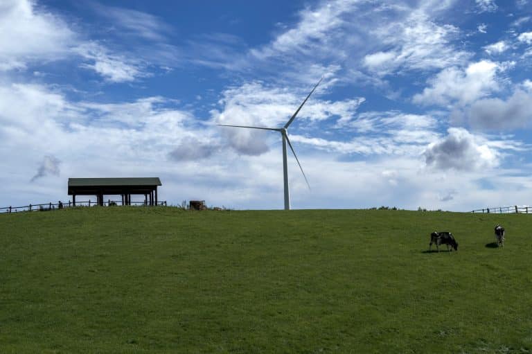 Biofuel Innovations: Sustainable Alternatives for Rural Areas