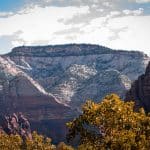 National Park Road Trips: Redwood Hikes to Grand Canyon Glamping