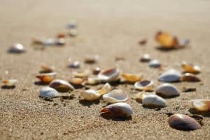 Sun Belt Surge: Why Nashville and Austin Outpace Coastal Markets