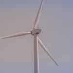 Carbon Taxes on Combustion Engines: Death Knell or Innovation Spark?