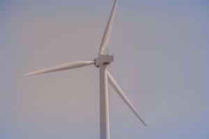 Carbon Taxes on Combustion Engines: Death Knell or Innovation Spark?