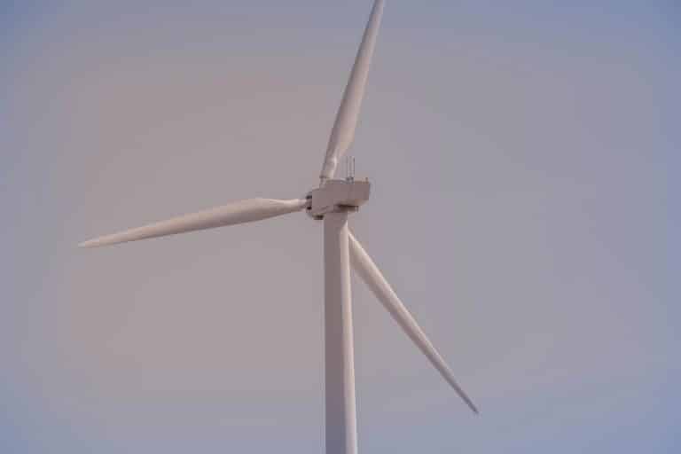 Carbon Taxes on Combustion Engines: Death Knell or Innovation Spark?