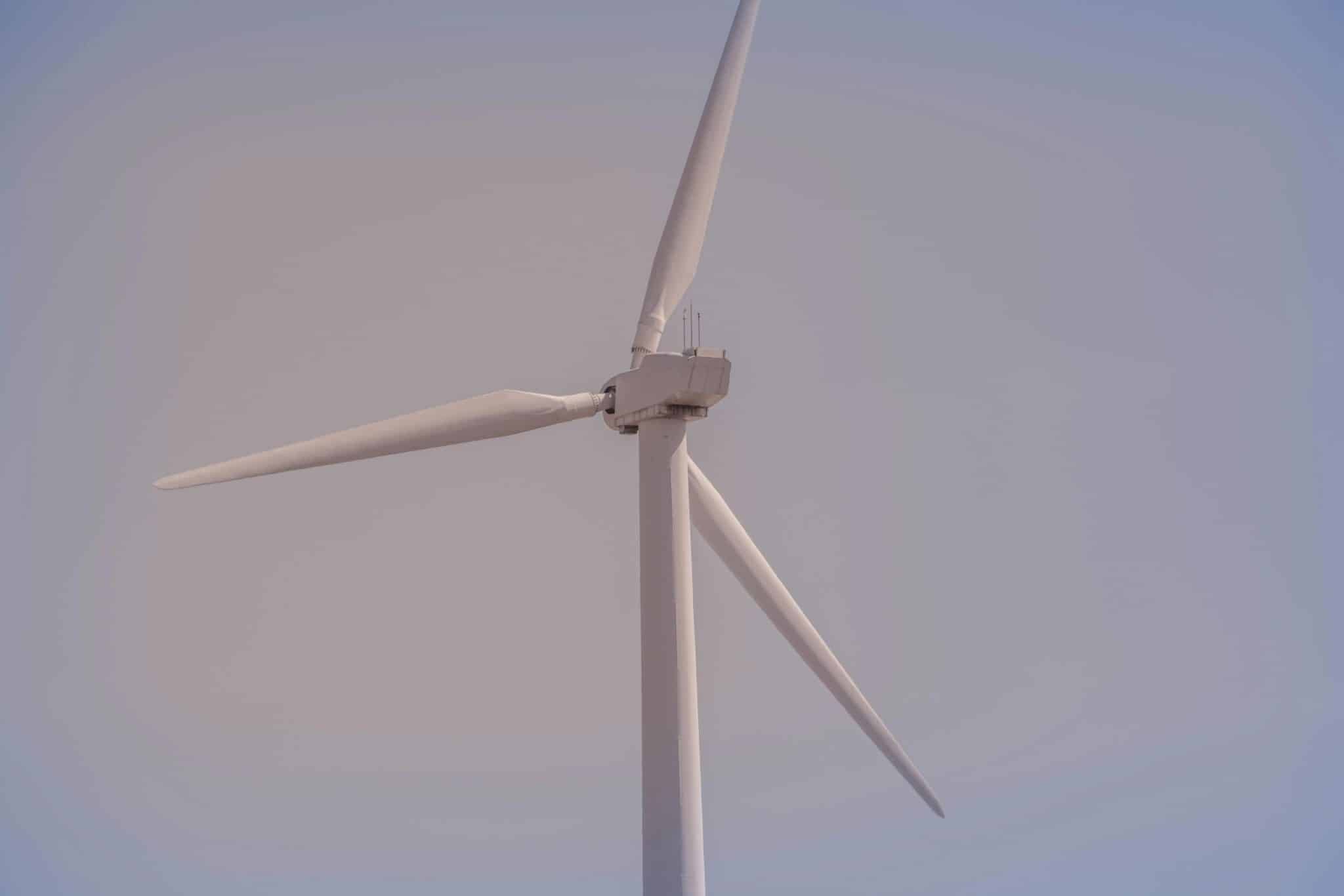 Carbon Taxes on Combustion Engines: Death Knell or Innovation Spark?