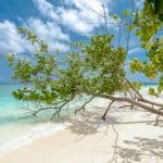 Sports Tourism Boom: Running Marathons in Exotic Locations