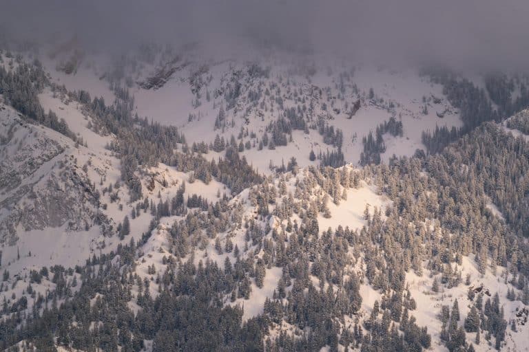 Solid-State Batteries: The 600-Mile EV Range Breakthrough