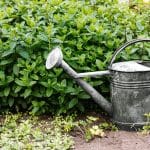 Regenerative Agriculture Goes Mainstream: How Soil Health Shapes Tomorrow’s Menus