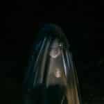 Cozumel’s Secret Cenotes: Snorkeling Beyond the Cruise Crowds