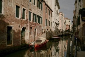 Silk Road Revival: Retracing Ancient Routes via Electric Camel Caravans