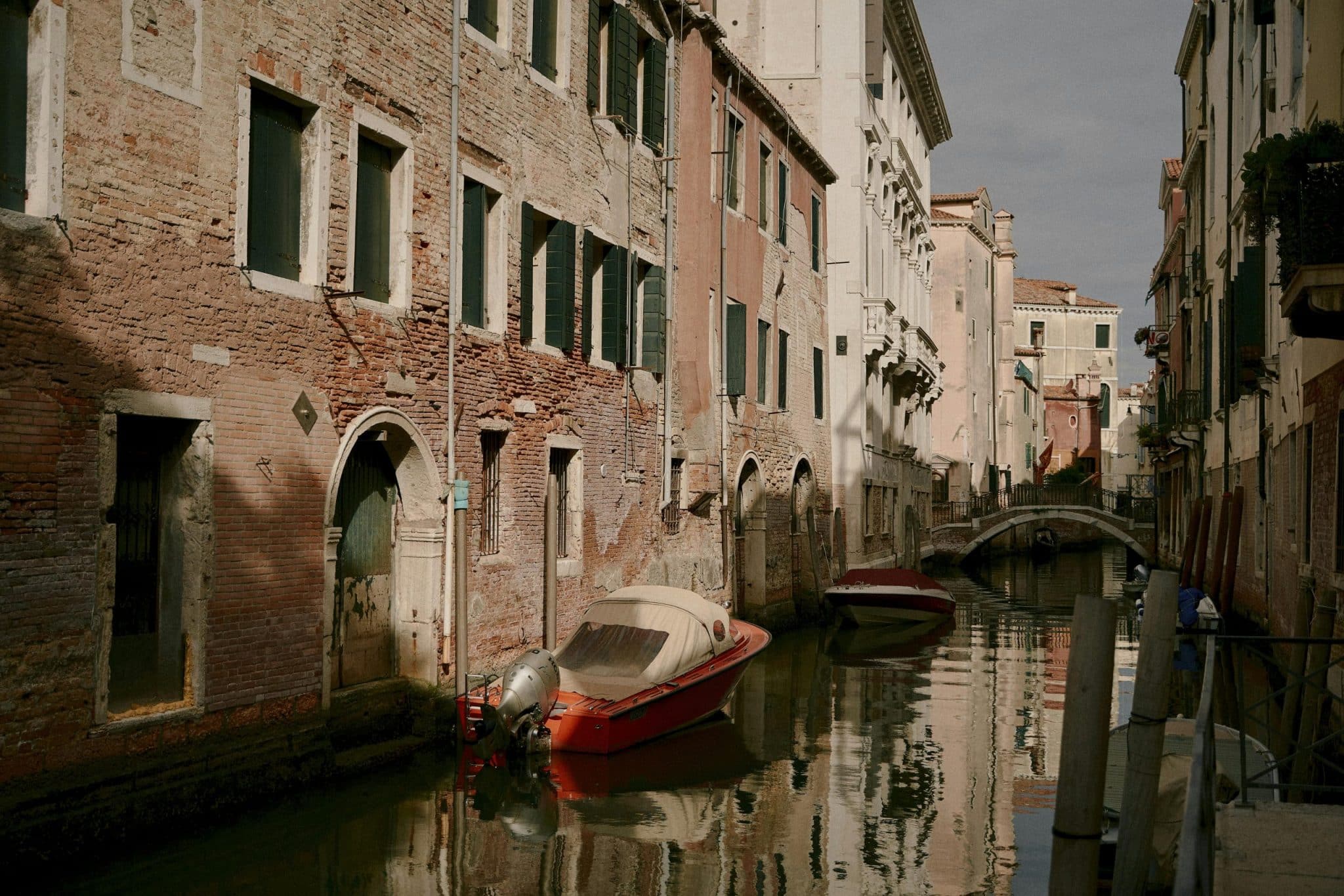 Silk Road Revival: Retracing Ancient Routes via Electric Camel Caravans