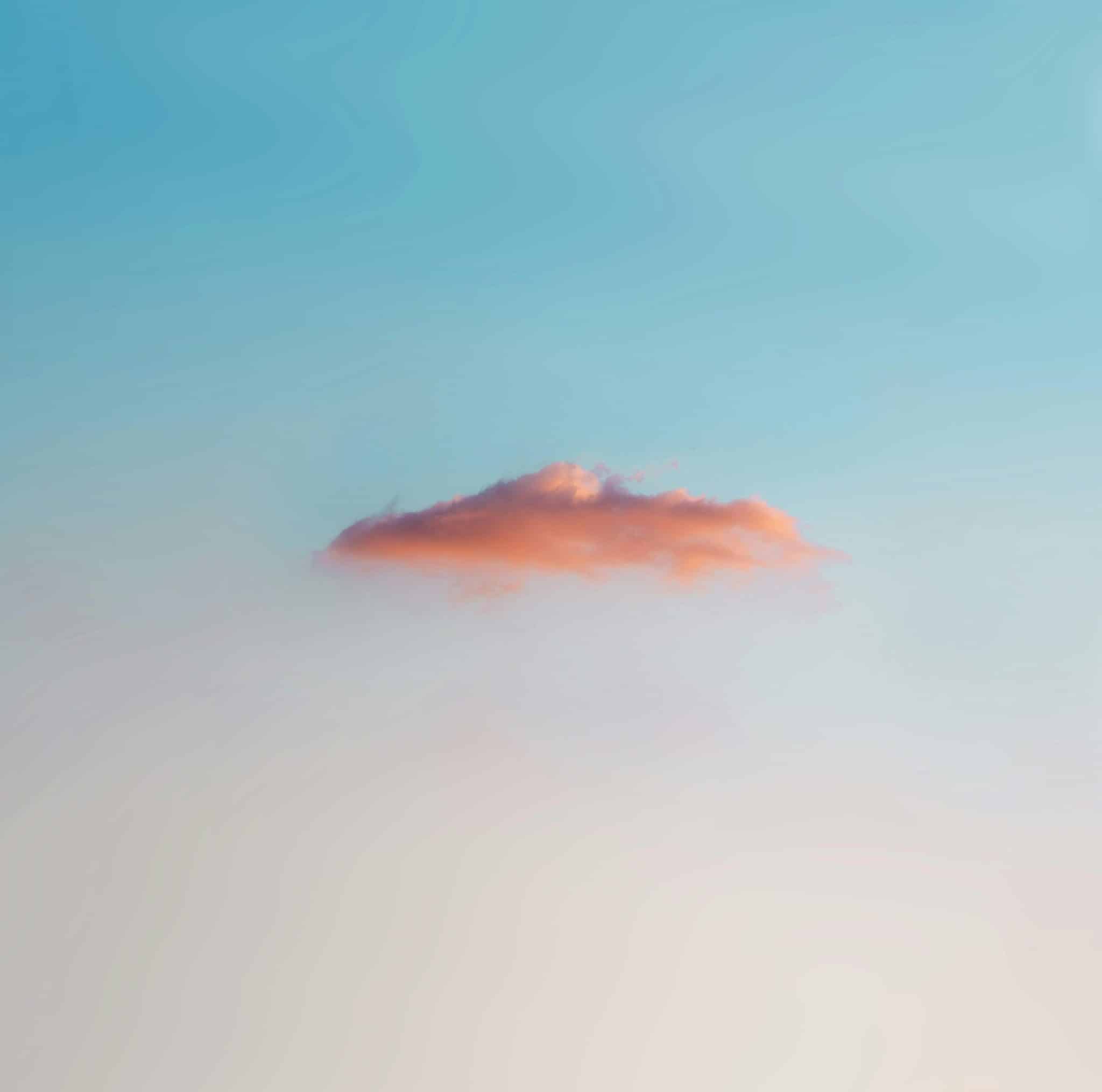 Climate Havens: Floating Cities in Oceanix’s Prototype Districts