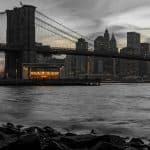 Plantaform Smart Gardens: Self-Cleaning Hydroponics for Urban Homes