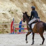 Carbon Credit Marketplaces: Profiting from Emissions Reductions