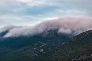 Dynamic Discounting: How AI Optimizes Supplier Payments