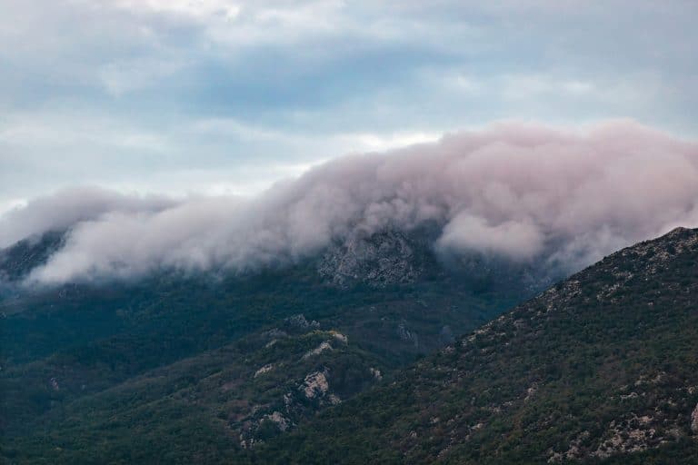 Dynamic Discounting: How AI Optimizes Supplier Payments