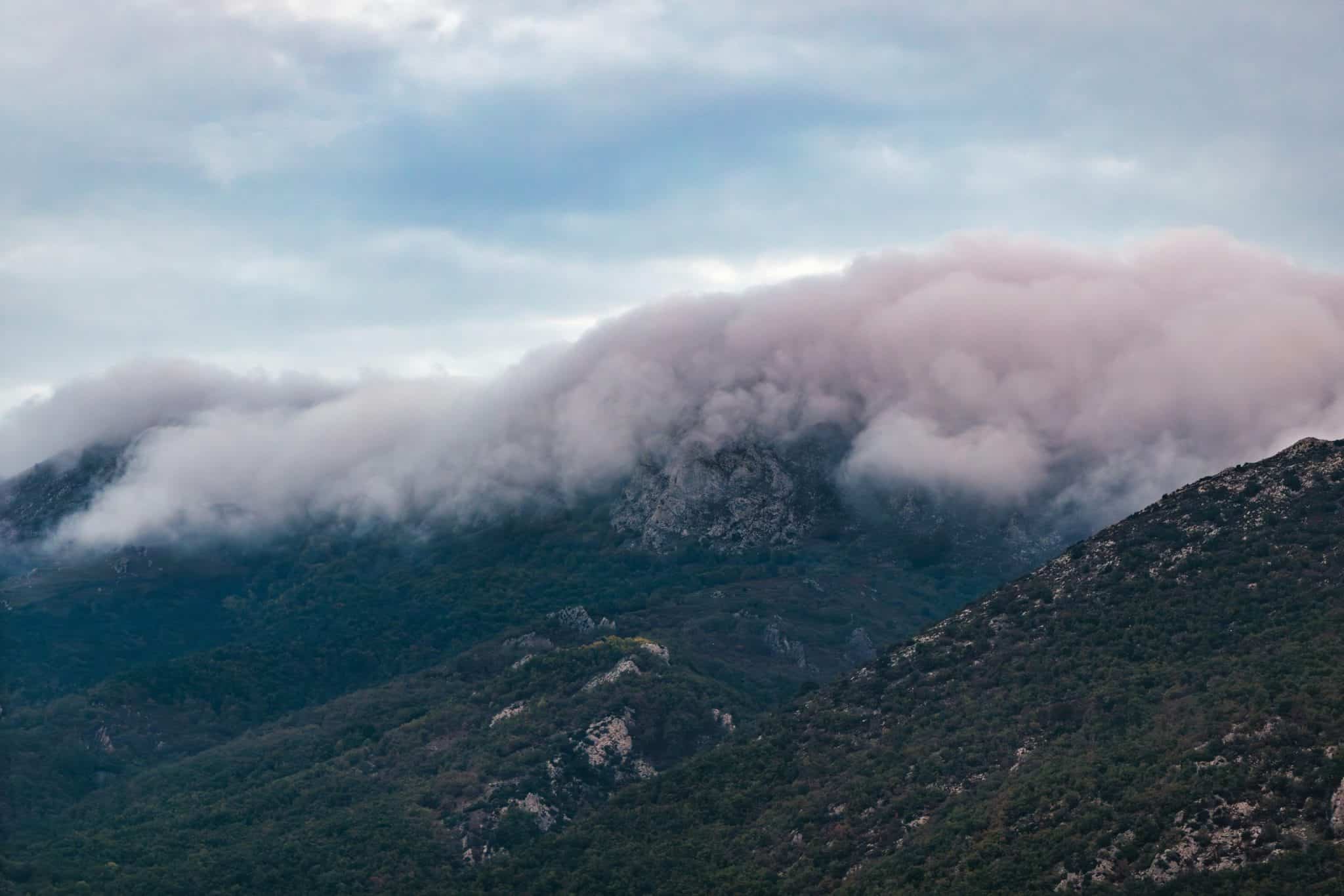 Dynamic Discounting: How AI Optimizes Supplier Payments